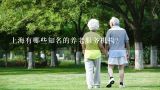 上海有哪些知名的养老服务机构？上海有哪些知名的养老服务机构？