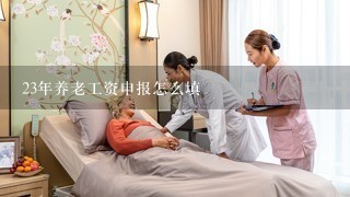 23年养老工资申报怎么填