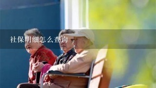 社保明细怎么查询