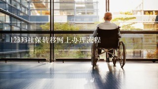 12333社保转移网上办理流程