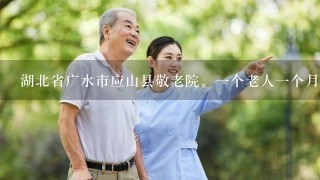 湖北省广水市应山县敬老院。一个老人一个月多少钱？