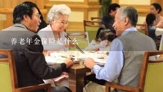 养老年金保险是什么