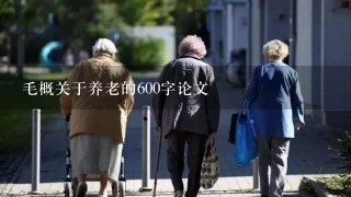 毛概关于养老的600字论文