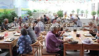 宝鸡城乡养老保险app怎么打不开？