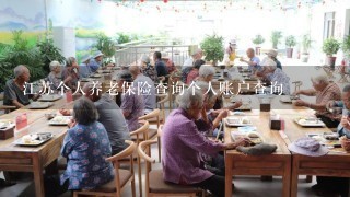 江苏个人养老保险查询个人账户查询