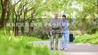 城乡居民养老保险交多少钱划算