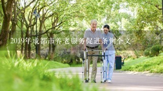 2019年成都市养老服务促进条例全文