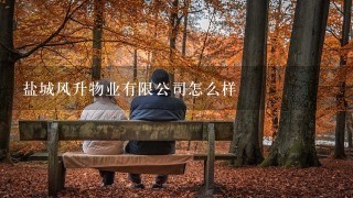 盐城风升物业有限公司怎么样