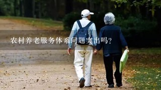 农村养老服务体系问题突出吗？