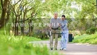 广东农村65岁养老金每月多少？