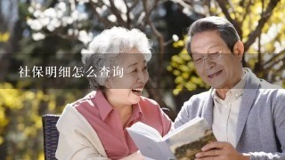 社保明细怎么查询