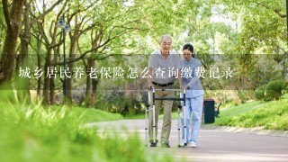 城乡居民养老保险怎么查询缴费记录