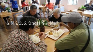 支付宝怎么交农村养老保险