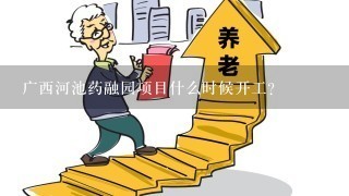 广西河池药融园项目什么时候开工？