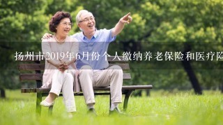 扬州市2019年6月份个人缴纳养老保险和医疗险每个月