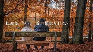 民政部“9073”养老模式是什么？？