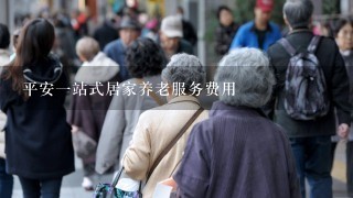 平安1站式居家养老服务费用