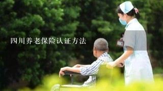 4川养老保险认证方法