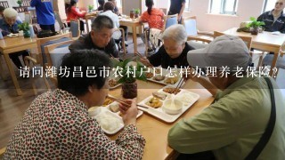 请问潍坊昌邑市农村户口怎样办理养老保险?