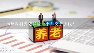 扬州农村养老保险1个月交多少钱？