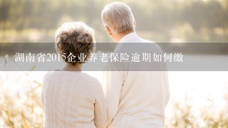 湖南省2015企业养老保险逾期如何缴