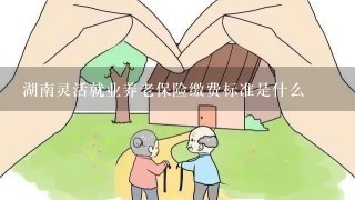 湖南灵活就业养老保险缴费标准是什么