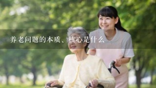 养老问题的本质、核心是什么