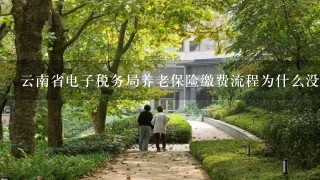 云南省电子税务局养老保险缴费流程为什么没有代他人缴费