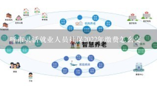 呼市灵活就业人员社保2022年缴费怎么交