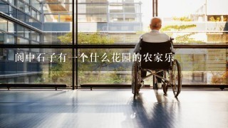 阆中石子有1个什么花园的农家乐