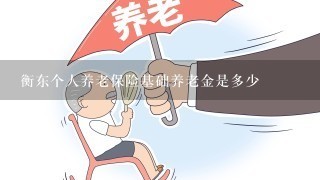 衡东个人养老保险基础养老金是多少