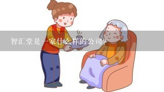 智汇堂是1家什么样的公司？