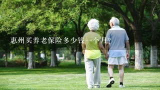 惠州买养老保险多少钱1个月？