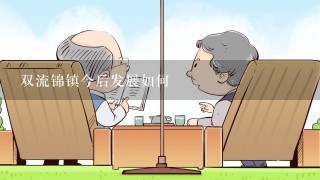 双流锦镇今后发展如何