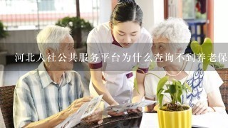 河北人社公共服务平台为什么查询不到养老保险账户信息，医疗保险倒是可以看到