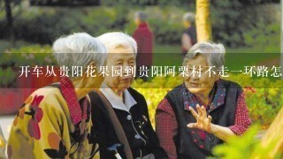 开车从贵阳花果园到贵阳阿栗村不走1环路怎么走