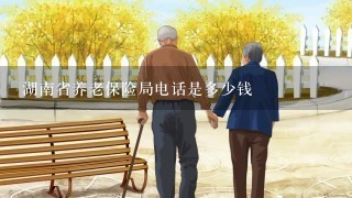 湖南省养老保险局电话是多少钱