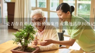 是否存在重大诉讼仲裁案件或其他法律纠纷记录吗？