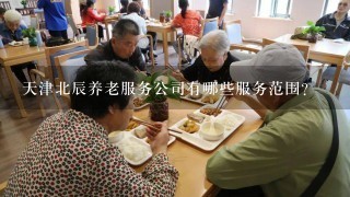 天津北辰养老服务公司有哪些服务范围?