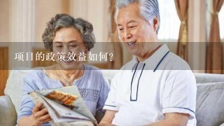 项目的政策效益如何?